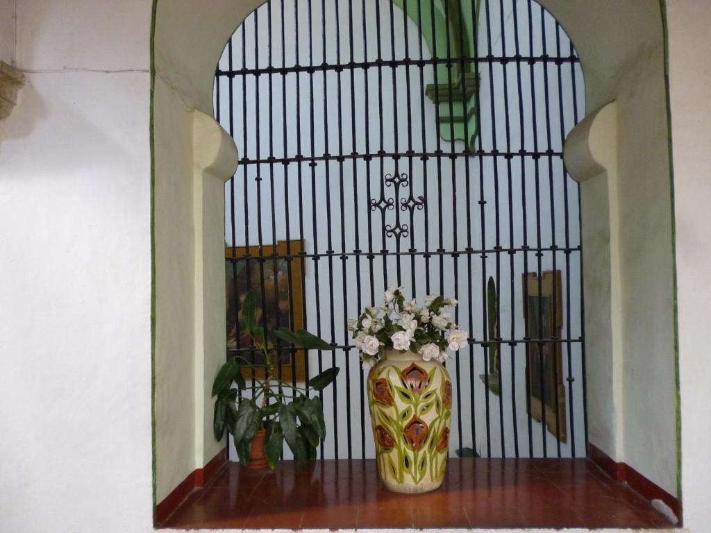 Hotel Monte Alban - Solo Adultos Oaxaca Ngoại thất bức ảnh